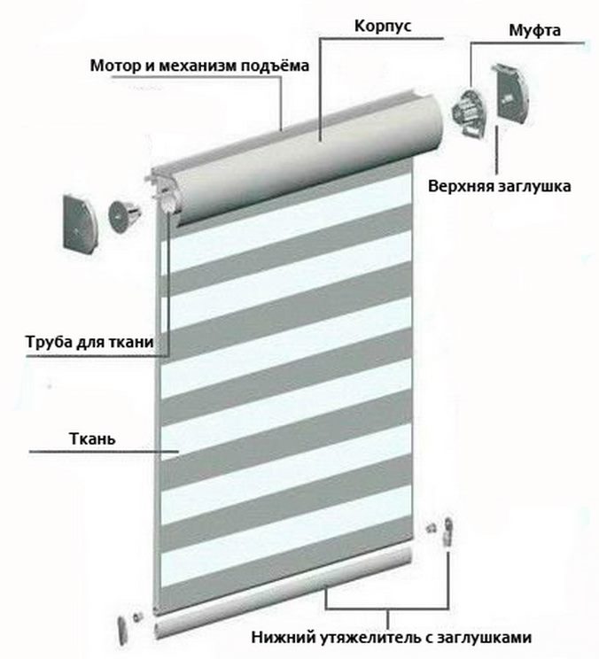 مخطط التجمع من الستائر الدوارة حمار وحشي نوع كاسيت