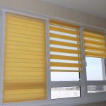 ستائر مفتوحة حمار وحشي على نافذة من البلاستيك