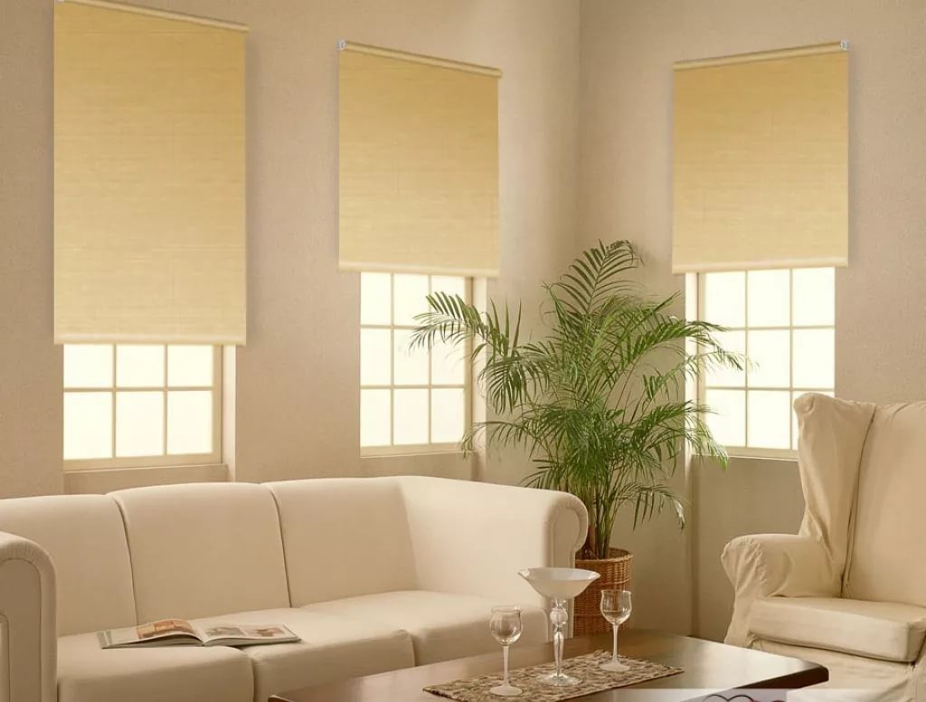 غرفة المعيشة الداخلية مع ستائر التعتيم البيج