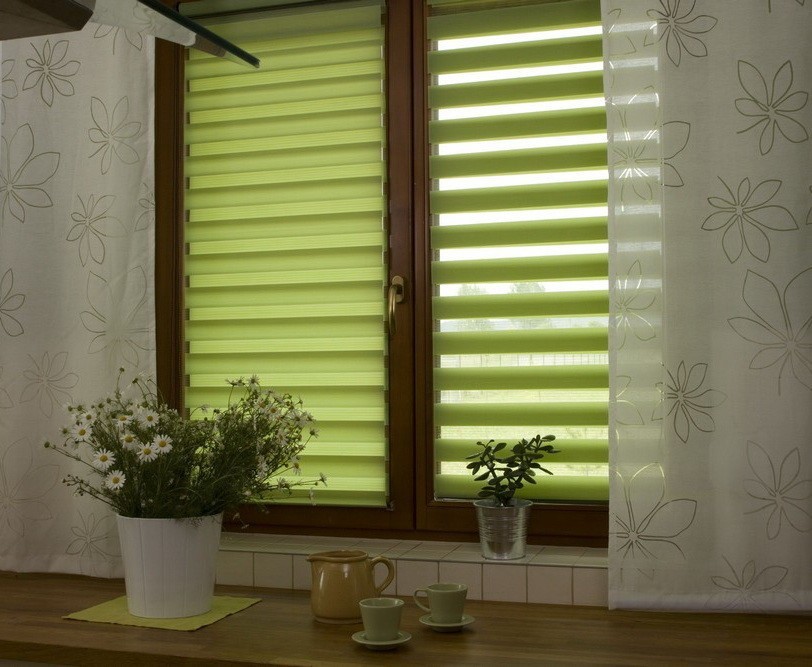 الستائر حمار وحشي في الدولة المفتوحة والمغلقة