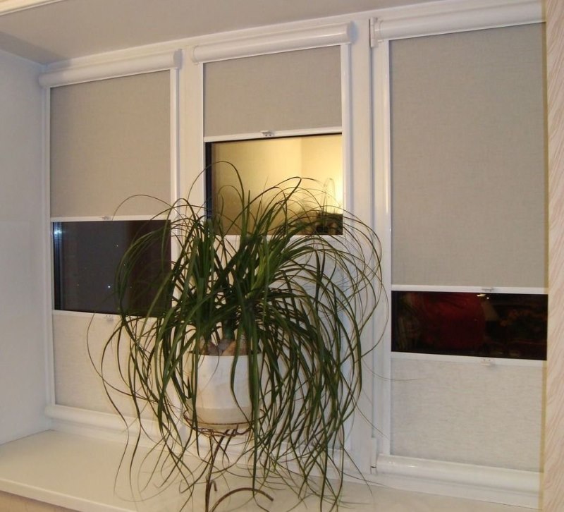 الستائر الدوارة مع آلية الربيع على نافذة من البلاستيك