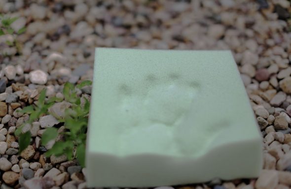 رغوة الحرارية