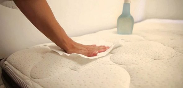 استخدام المناديل الورقية للبقع