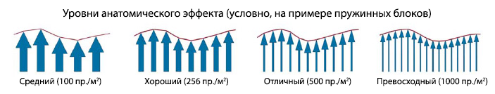 مستويات التأثير التشريحي