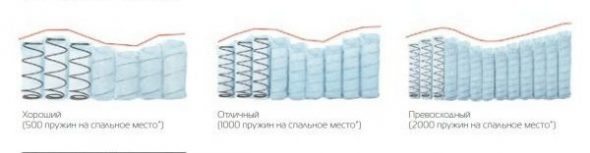 مستويات تأثير العظام