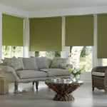 ستائر كاسيت خضراء لغرفة المعيشة