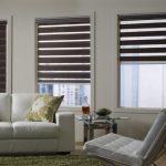 غرفة المعيشة الداخلية مع مصاريع ليلا ونهارا