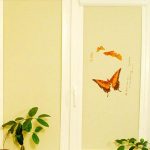 الستائر مع الفراشات على نافذة من البلاستيك