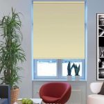 نباتات داخلية في غرفة المعيشة الداخلية