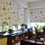 ستائر كاسيت PRiS-Eco على النوافذ البلاستيكية